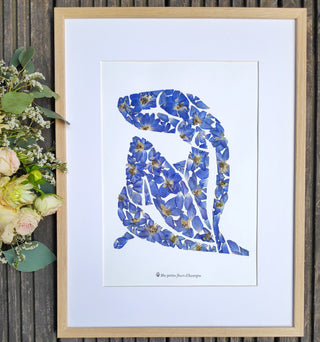 Tableau herbier "Nu bleu" de Matisse en fleurs bleues séchées d'Auvergne - cadre fleurs