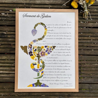 Tableau herbier caducée d'Hygie en fleurs séchées d'Auvergne - cadre fleurs