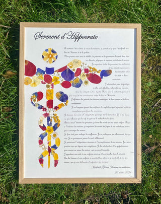Tableau herbier caducée d'Hermès avec le serment d'Hippocrate en fleurs séchées - cadre fleurs