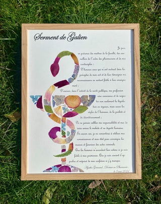 Tableau herbier caducée d'Hygie avec le serment de Galien en fleurs séchées d'Auvergne - 3 - cadre fleurs