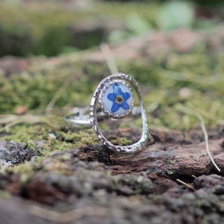 Bague réglable argentée myosotis bleu sur fond blanc - bijou fleur Clermont