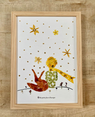 Tableau herbier du Petit Prince de Saint Exupéry en fleurs séchées d'Auvergne - cadre fleurs
