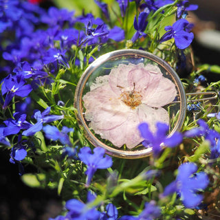 Broche à cheveux en fleur de cerisier du japon, fleur dans les tons rose, parfois violet - bijou vraies fleurs Clermont
