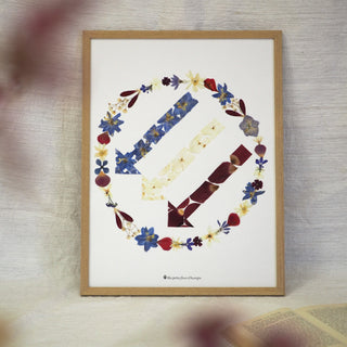 Tableau herbier les trois flèches, symbole anti fasciste aux couleurs bleu blanc et rouge
