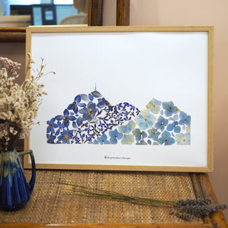 Tableau herbier du Puy-de-Dôme en fleurs bleues d'Auvergne - cadre fleurs