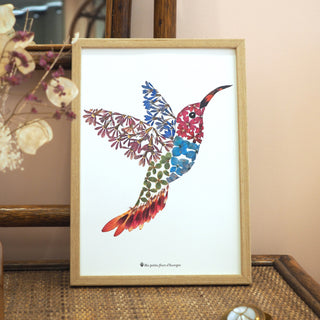 Tirage d'art / affiche / poster de l'herbier oiseau Colibri en fleurs séchées d'Auvergne. - 2