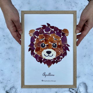 Tableau Herbier pour chambre d'enfant représentant un petit lion en fleurs d'Auvergne 1 - cadre fleurs