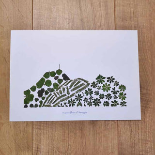 Herbier "Puy-de-Dôme" dans les tons de vert composé de végétaux cueillis lors de mes ballades en Auvergne ou dans mon jardin.