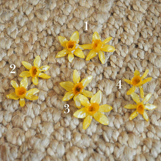 Bijou en fleurs séchées - Boucles d'oreilles en vraies fleurs de jonquilles jaunes séchées 4