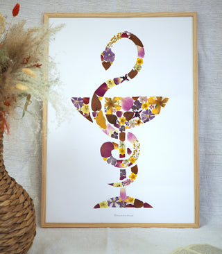 Caducée sans serment fleurs séchées multicolore en grand format 50x70 - cadre fleurs