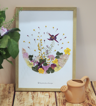 Tableau-herbier format A4 avec des fleurs séchées d'Auvergne - cadre fleurs