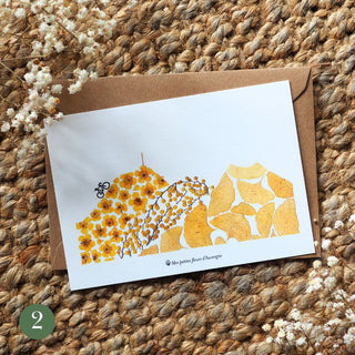 Carte postale en fleurs séchées d'Auvergne du Tour de France Puy-de-Dôme