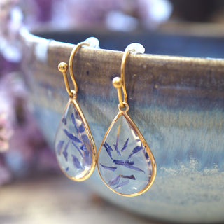 Boucles d'oreille petites gouttes en laiton doré à l'or fin avec inclusion de fleurs de bleuet - bijou fleur