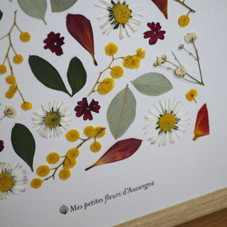 Tableau Herbier Champ d'été  fait avec des végétaux et fleurs d'Auvergne, cueillis dans mon jardin - Cadre fleuri
