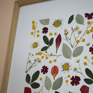 Tableau Herbier Champ d'été  fait avec des végétaux et fleurs d'Auvergne, cueillis dans mon jardin - Cadre fleuri