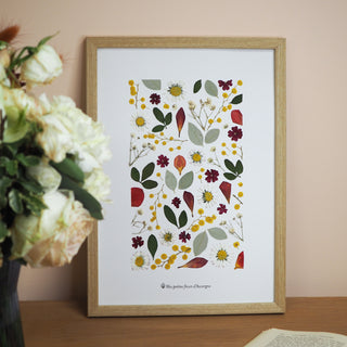 Tableau Herbier Champ d'été  fait avec des végétaux et fleurs d'Auvergne, cueillis lors de mes balades ou dans mon jardin.