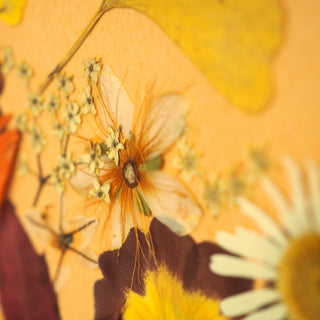 Tableau herbier aux couleurs chaudes de l'Automne sur fond orange, en fleurs d'Auvergne - herbier fleuri