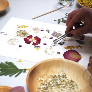Atelier herbier pour faire son herbier à Clermont-Ferrand