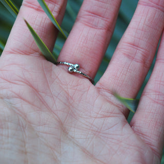 Bague ajustable en acier inoxydable argentée en fleurs de carotte sauvage sur un fond émeraude - bijou fleur