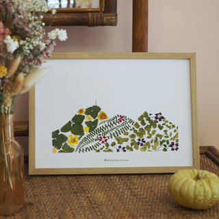 Tableau Herbier A4 Puy-de-Dôme végétal  et fleuri, dans les tons verts et quelques fleurs jaunes, rouge et bleu 2 - cadre fleurs