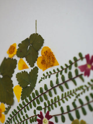 Tableau Herbier A4 Puy-de-Dôme végétal  et fleuri, dans les tons verts et quelques fleurs jaunes, rouge et bleu 2 - cadre fleurs