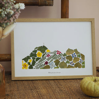 Tableau Herbier A4 Puy-de-Dôme végétal  et fleuri, dans les tons verts et quelques fleurs jaunes, rouge et bleu 2 - cadre fleurs