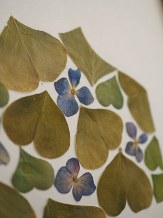 Tableau Herbier A4 Puy-de-Dôme végétal  et fleuri, dans les tons verts et quelques fleurs jaunes, rouge et bleu 2 - cadre fleurs