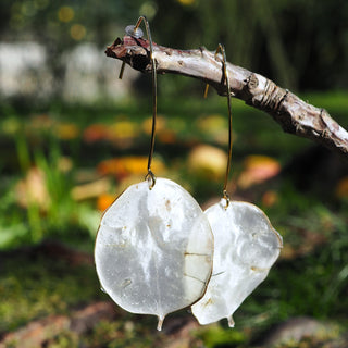 Bijou fleur clermont - boucles d'oreilles avec des feuilles de monnaie du pape