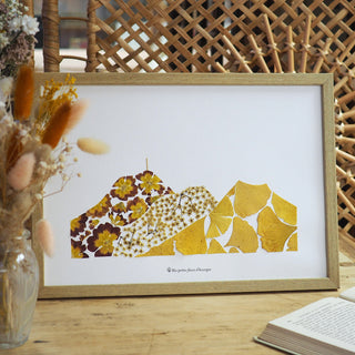 Tableau herbier Puy-de-Dôme automne Mes petites fleurs d'Auvergne passage sur TF1