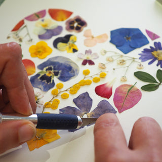 Création herbier en forme de coeur multicolore avec des fleurs séchées d'Auvergne - cadre fleurs