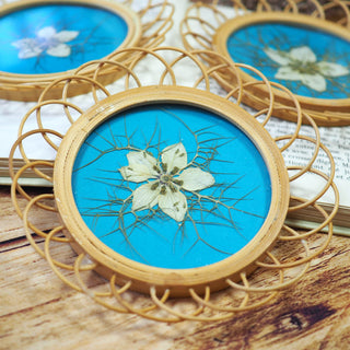 sous-verre rotin upcyclé en mini-herbier en fleurs de nigelle de damas