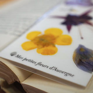 Papeterie fleurs - Marque-pages avec de vraies fleurs d'Auvergne 4