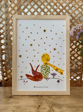 Herbier Petit Prince