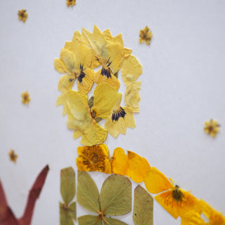 Tableau herbier du Petit Prince de Saint Exupéry en vraies fleurs séchées d'Auvergne - cadre vraies fleurs