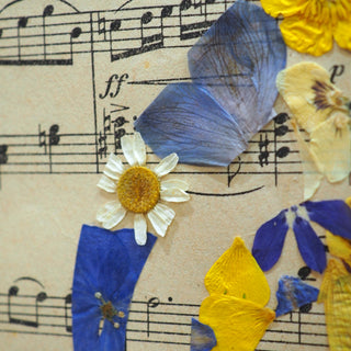 Tableau herber partition de musique avec clé de sol en fleurs séchées - cadre musique fleur