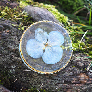 Bijoux vraies fleurs à clermont - broche à vêtement dorée en fleur d'hortensia