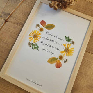 Tableau Herbier avec une poésie ou un message, entouré de fleurs d'Auvergne  - 4