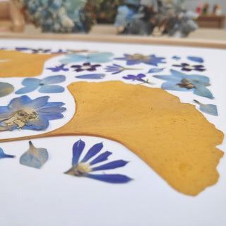 Tableau Herbier Ginkgo bleu motif rectangle en fleurs et feuilles séchées d'Auvergne - cadre fleurs