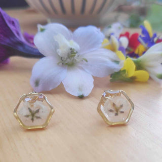 Puces hexagone en acier inoxydable doré avec inclusion de fleurs de gypsophile - bijou fleur