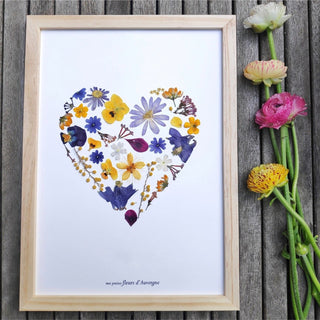 Tableau herbier en forme de Coeur jaune et violet en fleurs d'Auvergne - cadre fleurs