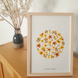 Tableau Herbier rond jaune en fleurs d'Auvergne pour ensoleiller votre intérieur - cadre fleurs