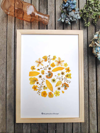 Tableau Herbier rond jaune en fleurs d'Auvergne - cadre fleurs