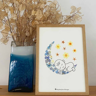 Tirage d'art / affiche / poster de l'herbier bébé dans la lune en fleurs séchées d'Auvergne - 1