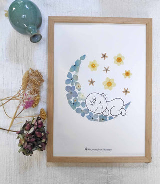 Tirage d'art / affiche / poster de l'herbier bébé dans la lune en fleurs séchées d'Auvergne - 2
