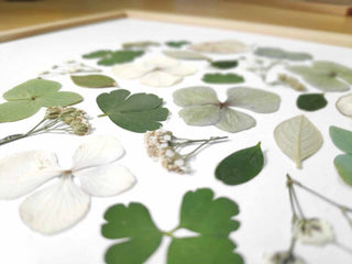 Tableau herbier Campagne anglaise : rond de fleurs séchées et végétaux sur fond blanc. - cadre fleurs