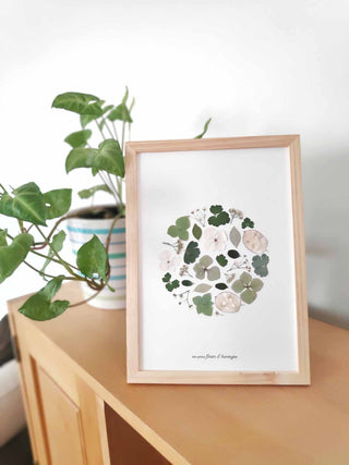 Tableau herbier Campagne anglaise : rond de fleurs séchées blanches et végétaux sur fond blanc. - cadre fleurs