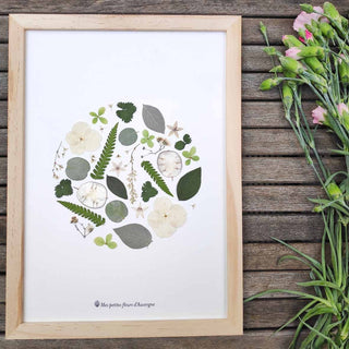 Tableau herbier Campagne anglaise : rond de fleurs séchées et végétaux sur fond blanc. - cadre fleurs