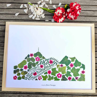 Tirage d'art / affiche / poster de l'herbier Puy-de-Dôme A3 en fleurs séchées d'Auvergne  - 1