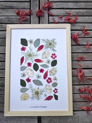 Tableau Herbier des Premiers Flocons de l'hiver dans les tons rouge, vert et blanc, en fleurs et feuilles d'Auvergne  - 1
