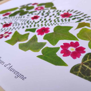 Tirage d'art / affiche / poster de l'herbier Puy-de-Dôme A3 en fleurs séchées d'Auvergne   - 3